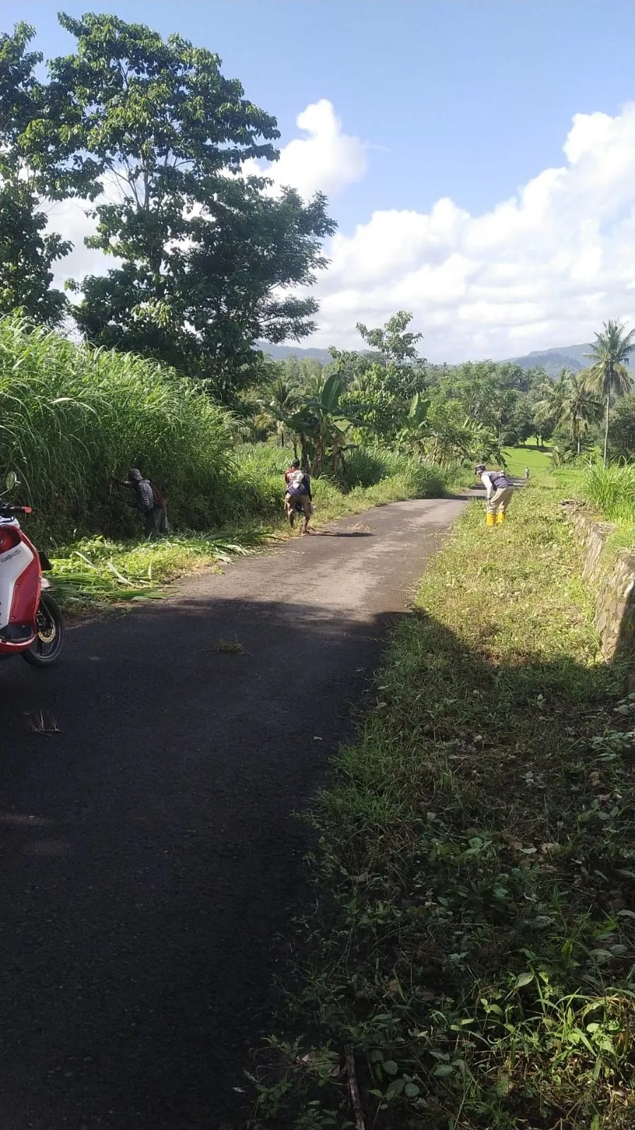 Kegiatan Gotong Royong Warga
